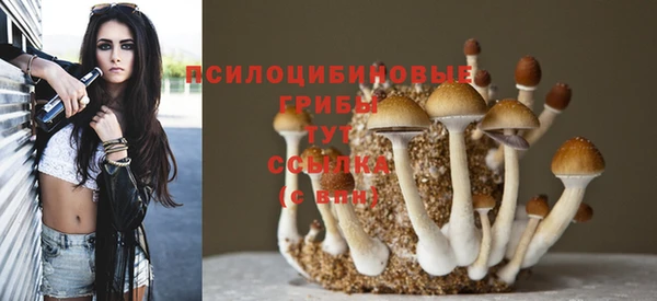 твердый Баксан