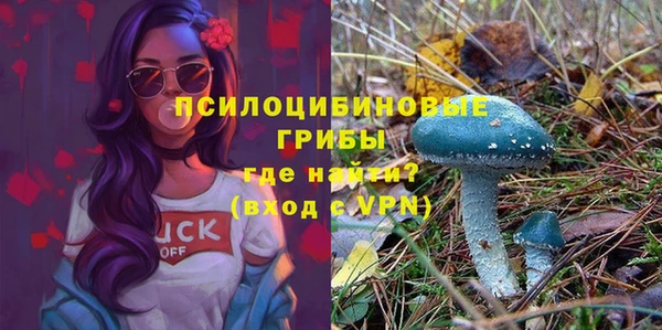 амфетамин Пестово