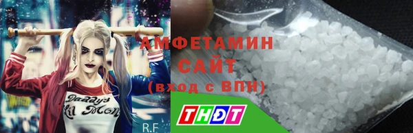 хмурый Пересвет