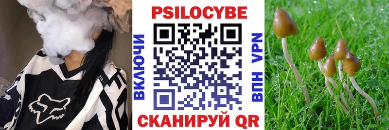 Галлюциногенные грибы Psilocybe Калининец